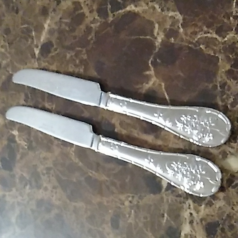 Portmeirion Botanic Garden Dinner Knives Set of 2 Glossy Stainless
